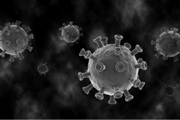 Badania w kierunku przeciwciał anty-SARS CoV-2 w Laboratorium BCM